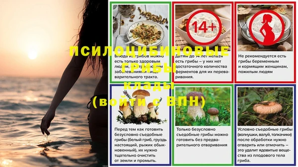 индика Баксан