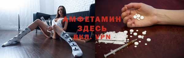 индика Баксан