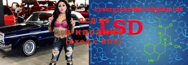 индика Баксан