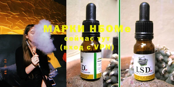 индика Баксан