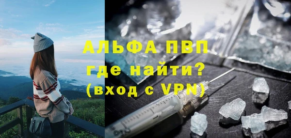 индика Баксан