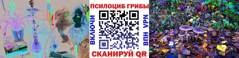 Псилоцибиновые грибы Psilocybine cubensis  Сковородино 